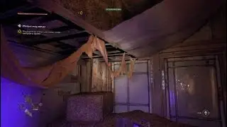 Не отображается костюм в Dying light 2