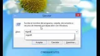 Modificar tamaño iconos y distancia entre ellos en Windows 8