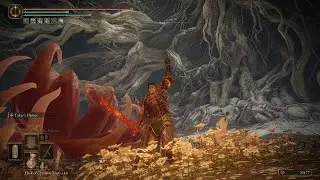 I Beat Malenia (Finally) | Elden Ring