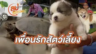 เพื่อนรักสัตว์เลี้ยง | ลุยไม่รู้โรย ลุยไปด้วยกัน