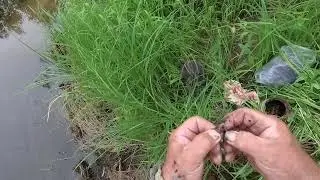 Просто  на  удочку...для  души.