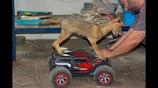 'Jack-Truck'