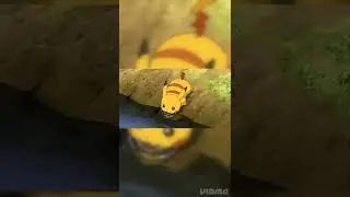 Wild Pikachu ⚡⚡ 
