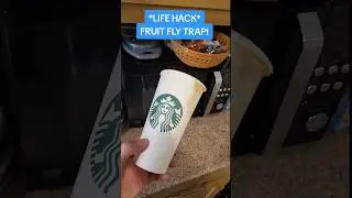 *Fruit Fly Trap* 