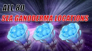 All Sea Ganoderma Locations | Genshin Impact