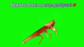 Футаж для вас!💋💋😋😋