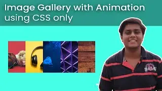 Image Gallery with Animation using CSS only. Complete tutorial | Code Grind