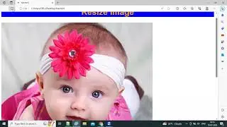 How to resize image in HTML & CSS