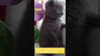 30 июля 2024 г.