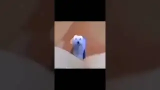 Little augh