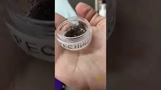 Наращивание ресниц глазам клиента. Со стороны всегда всё просто