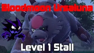 Pokemon Scarlet & Violet - Bloodmoon Ursaluna Level 1 Stall