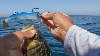 Orange County, California Saltwater Bass Fishing Personal Training Session