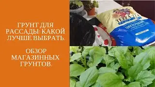 Грунт для рассады: какой лучше выбрать. Обзор магазинных грунтов.