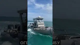 Police officers sailed over to see the fish
