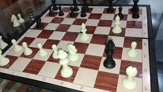 Winning a game without a Queen | Chess Games