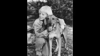 Boomerang, Dog of Many Talents (1968)