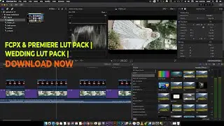 FCPX & PREMIERE LUT PACK | WEDDING LUT PACK | DOWNLOAD NOW | Learn 2 Pro