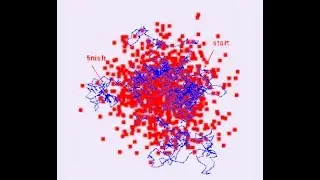 Diffusion/Random Walk Simulations