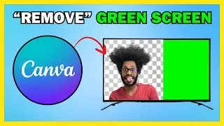 How To Remove A Greenscreen In Canva [IN A COUPLE SECONDS]