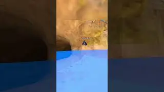 The Monkey Goes WILD at the Water Park! 