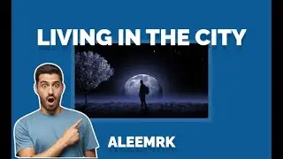 Living In The City - Aleemrk Slowed And Reverb (Lyrical Video) | Trending Song