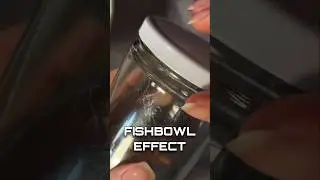ASMR FISHBOWL EFFECT #asmr #shorts
