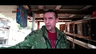 Окролы. Крольчиха придавила крольчат. Какую.