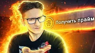 КАК ИГРАЮТ ГОЛД НОВЫ БЕЗ ПРАЙМА В CS:GO?