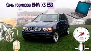 ПРОКАЧКА тормозов BMW X5 E53