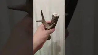 рог для ножей