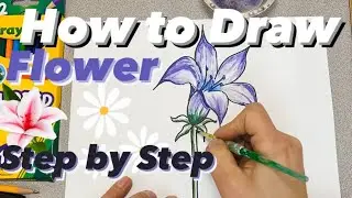 How to Draw a Flower - Easy Lily Drawing for Kids 