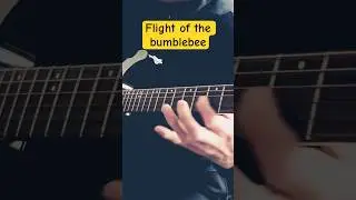 Flight Of The Bumblebee SHRED GUITAR SOLO 🎸🐝 (Alternate Picking Practice)