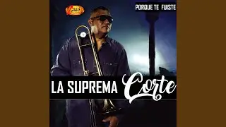 Porque Te Fuiste