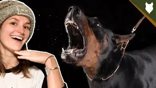 DO DOBERMAN BARK ALOT?