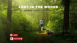Lost in the Woods!