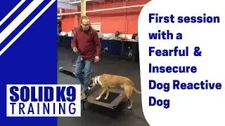 First session with a Fearful and Insecure Dog Reactive Dog | Solid K9 Training