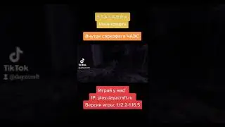 Stalker внутри саркофага ЧАЭС #minecraftприколы #minecraft #shorts #fyp #a4 #тиктокиграет #майнкрафт