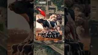 🔥 CRAZY Cow on the Roof📍 #alexmaps #googlemaps #googleearth
