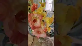 ролики не грузятся🤦‍♀️