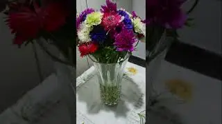 Анна Каренина.6.14Глава.