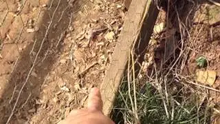 Chicken Run Repairs