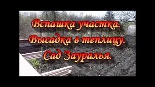 Plowing the plot.Planting in the greenhouse.Garden Of The TRANS-Urals.