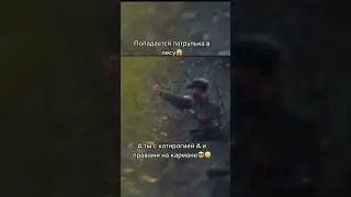 Когда ты уже повидал в этой жизни всё 🤣