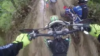 maracuja lama 2022 parte1