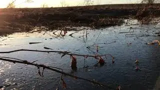 Готовим шалаш на весеннюю охоту