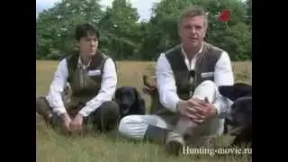 Ретриверы На охоте с собакой.