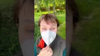 Как избавиться от тли? Эффективное средство! 
