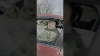Родовая книга вместо всех документов)