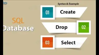 PHP Display Data from Database | SELECT Query | SQL | Web